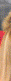 tmheadspace3