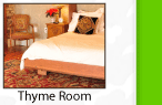 thymeroom